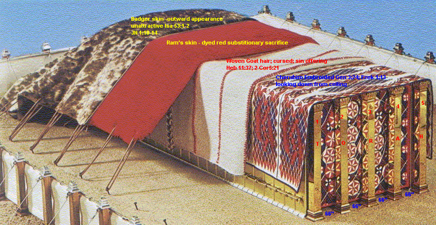 The image ※http://www.messianic-torah-truth-seeker.org/Torah/Overview-Mishkan/ovrvw-mshkn_files/The-4-Covering.gif§ cannot be displayed, because it contains errors.