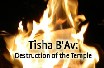 Tsha B Av - Temple destruction